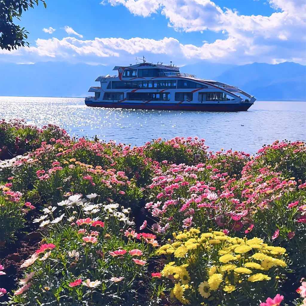 在 大理花語牧場，繽紛花海沿湖綻放，遠處洱海上遊船緩行，背後群山與藍天相映成景