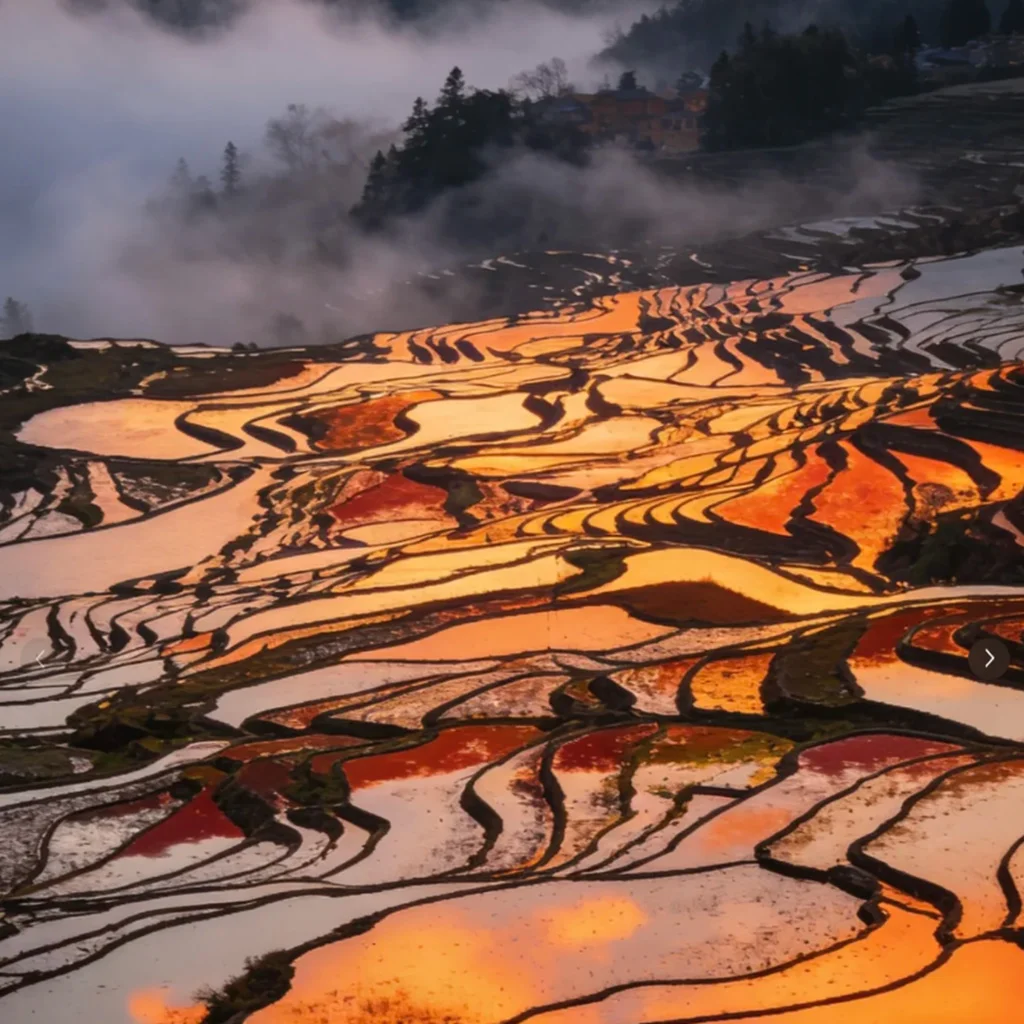 Aicun Terraced Fields 雲南愛村梯田日出景觀,層層梯田沿山坡延展,水面在晨光映照下呈現金橙與紅色光影,曲線般的田埂交織成壯麗圖案,遠方雲霧與村落若隱若現,展現愛村梯田獨特而迷人的自然景色