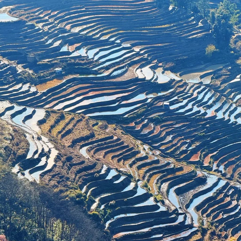 Bada Scenic Area 雲南壩達景區梯田景觀,層層曲線般的梯田沿著山坡延展,水面映照天空與山影,形成壯麗的自然圖案。梯田高低起伏、線條優美,展現壩達景區獨特的農耕文化與壯觀高原梯田風光。