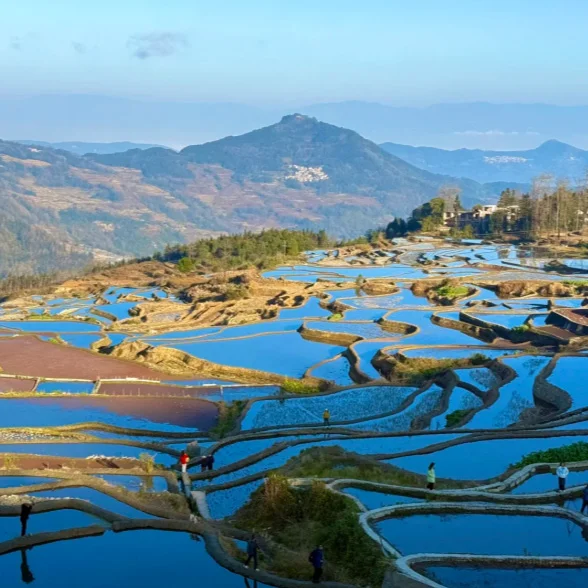 Bada Terraces 雲南著名農耕景觀 壩達梯田 的層層梯田景色。山坡上密集分布的梯田在水面映照下呈現藍色與金色交錯的圖案,遠處群山連綿,田埂蜿蜒曲折,形成壯觀而富有層次的高原農業景觀。