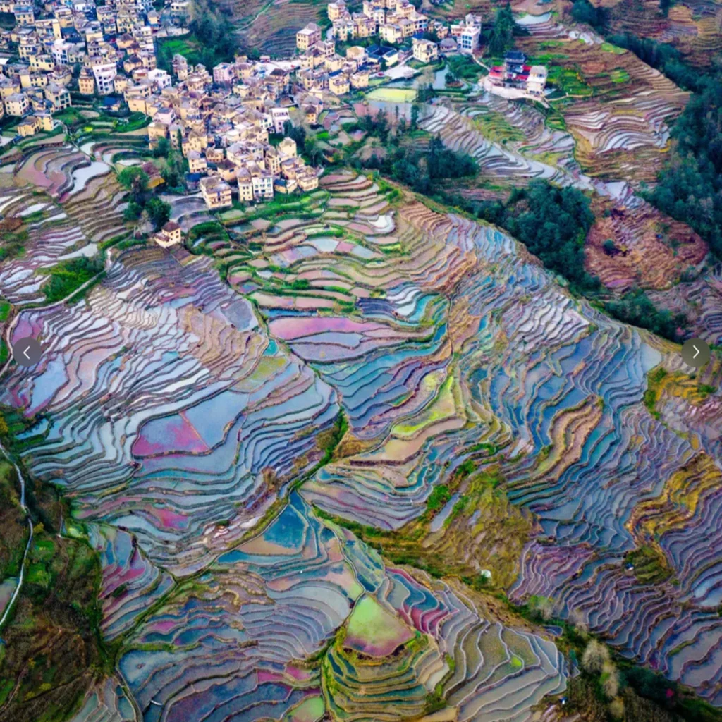 Duoyishu Terraced Fields 雲南多依樹梯田空拍景觀,層層梯田沿山坡延展,水面映照天空形成繽紛色彩,梯田曲線環繞村落與山林,呈現壯麗而細緻的地形紋理,展現多依樹梯田獨特的農耕文化與自然景觀