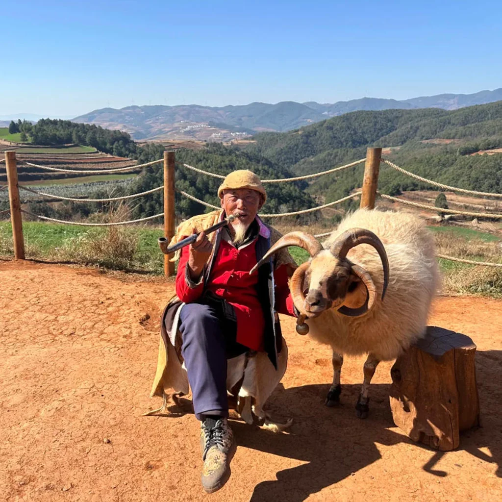 Grandpa Shepherd in Dongchuan Red Land 在雲南著名景區 東川紅土地 的觀景點,一位牧羊老人坐在紅色土地上吹著傳統樂器,旁邊站著一隻長角綿羊。遠處是層層梯田與起伏山丘,景色開闊。畫面展現當地農村生活與紅土地自然景觀結合的獨特文化風情。