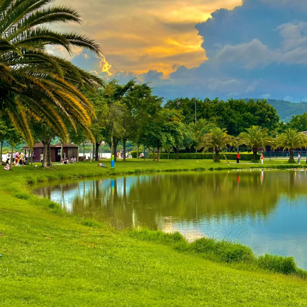 Mile Lake Spring Ecological Park 位於 弥勒湖泉生态园 的湖畔公園景色。草地與湖水相連,棕櫚樹與綠樹環繞湖岸,天空晚霞與雲層倒映在湖面上,遊客在樹蔭下休憩散步,呈現寧靜自然的生態公園景觀。
