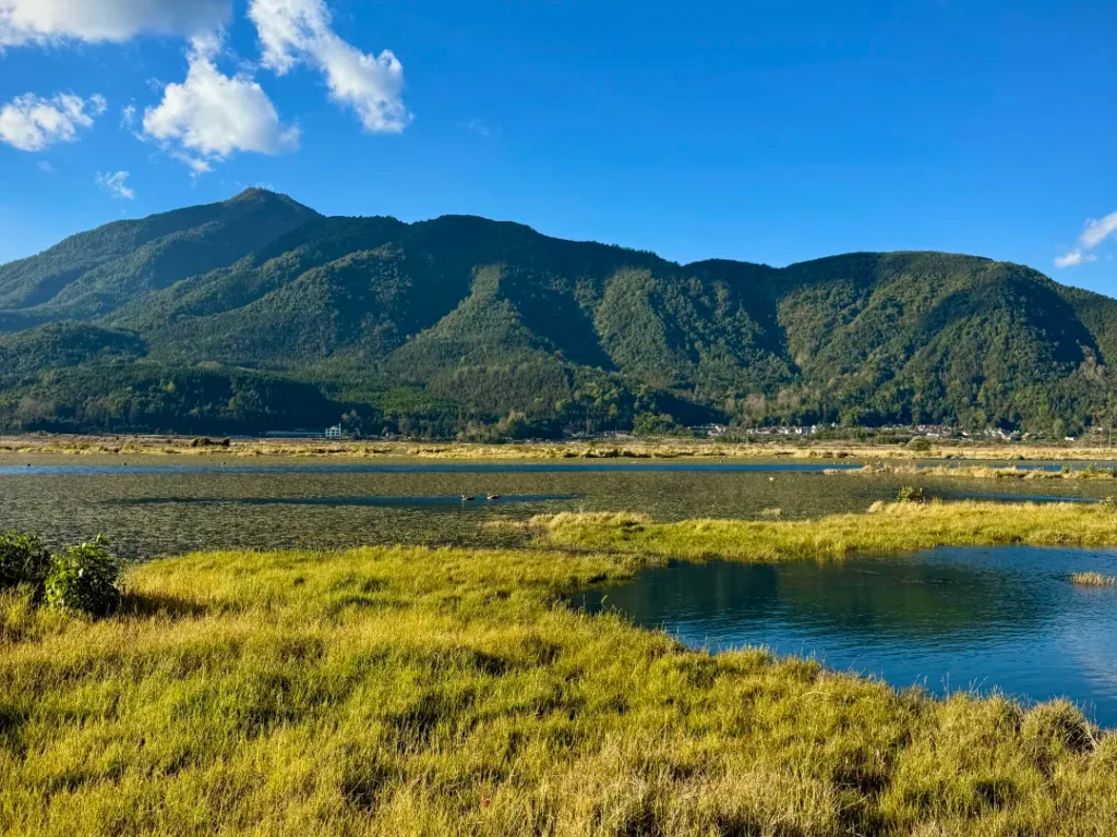 Tengchong Beihai Wetland Park 3 Tengchong Beihai Wetland Park 3
