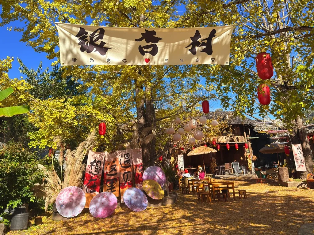 tengchong ginkgo village entrance autumn lanterns.jpg 騰衝銀杏村入口橫幅掛在金黃銀杏樹下,搭配紅燈籠與戶外座位,地面鋪滿秋葉,呈現溫馨秋日氛圍。